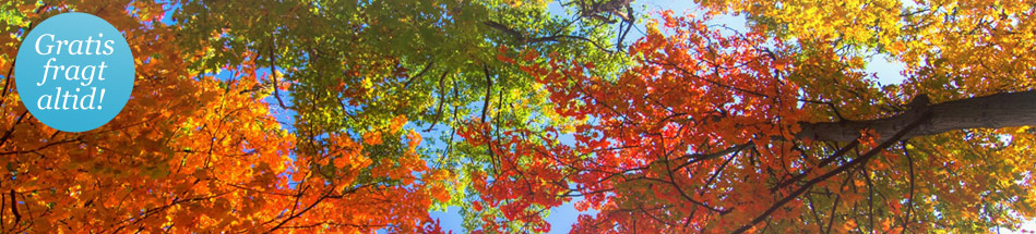 Køb dine kontaktlinser hos Nordeuropas første online-forhandler af kontaktlinser