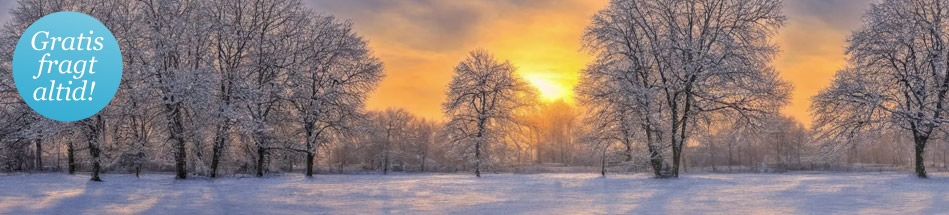 Køb dine kontaktlinser hos Nordeuropas første online-forhandler af kontaktlinser